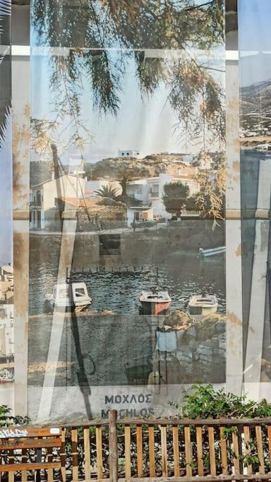 Seashell Apartment Sea View, Castle View 200Metres From The Beach Sitia  Exteriör bild