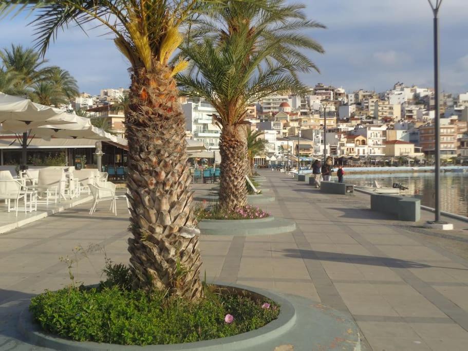Seashell Apartment Sea View, Castle View 200Metres From The Beach Sitia  Exteriör bild